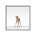 Picture of Singular Deer _GroupedProduct_Square_Mini_ _GroupedProduct_Square_Canvas_Framed_