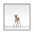 Picture of Singular Deer _GroupedProduct_Square_Mini_ _GroupedProduct_Square_Canvas_Framed_