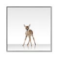 Picture of Singular Deer _GroupedProduct_Square_Mini_ _GroupedProduct_Square_Canvas_Framed_