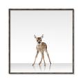 Picture of Singular Deer _GroupedProduct_Square_Mini_ _GroupedProduct_Square_Canvas_Framed_