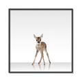 Picture of Singular Deer _GroupedProduct_Square_Mini_ _GroupedProduct_Square_Canvas_Framed_