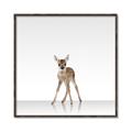 Picture of Singular Deer _GroupedProduct_Square_Mini_ _GroupedProduct_Square_Canvas_Framed_