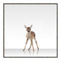 Picture of Singular Deer _GroupedProduct_Square_Mini_ _GroupedProduct_Square_Canvas_Framed_