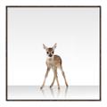 Picture of Singular Deer _GroupedProduct_Square_Mini_ _GroupedProduct_Square_Canvas_Framed_