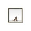 Picture of Singular Raccoon _GroupedProduct_Square_Mini_ _GroupedProduct_Square_Canvas_Framed_