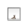 Picture of Singular Raccoon _GroupedProduct_Square_Mini_ _GroupedProduct_Square_Canvas_Framed_