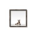 Picture of Singular Raccoon _GroupedProduct_Square_Mini_ _GroupedProduct_Square_Canvas_Framed_