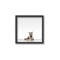Picture of Singular Raccoon _GroupedProduct_Square_Mini_ _GroupedProduct_Square_Canvas_Framed_