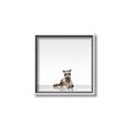 Picture of Singular Raccoon _GroupedProduct_Square_Mini_ _GroupedProduct_Square_Canvas_Framed_