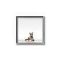 Picture of Singular Raccoon _GroupedProduct_Square_Mini_ _GroupedProduct_Square_Canvas_Framed_
