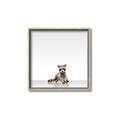 Picture of Singular Raccoon _GroupedProduct_Square_Mini_ _GroupedProduct_Square_Canvas_Framed_
