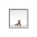 Picture of Singular Raccoon _GroupedProduct_Square_Mini_ _GroupedProduct_Square_Canvas_Framed_