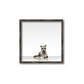 Picture of Singular Raccoon _GroupedProduct_Square_Mini_ _GroupedProduct_Square_Canvas_Framed_