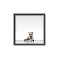 Picture of Singular Raccoon _GroupedProduct_Square_Mini_ _GroupedProduct_Square_Canvas_Framed_