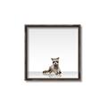 Picture of Singular Raccoon _GroupedProduct_Square_Mini_ _GroupedProduct_Square_Canvas_Framed_
