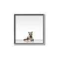Picture of Singular Raccoon _GroupedProduct_Square_Mini_ _GroupedProduct_Square_Canvas_Framed_