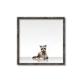 Picture of Singular Raccoon _GroupedProduct_Square_Mini_ _GroupedProduct_Square_Canvas_Framed_