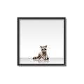 Picture of Singular Raccoon _GroupedProduct_Square_Mini_ _GroupedProduct_Square_Canvas_Framed_