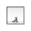 Picture of Singular Raccoon _GroupedProduct_Square_Mini_ _GroupedProduct_Square_Canvas_Framed_