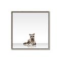 Picture of Singular Raccoon _GroupedProduct_Square_Mini_ _GroupedProduct_Square_Canvas_Framed_