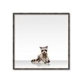 Picture of Singular Raccoon _GroupedProduct_Square_Mini_ _GroupedProduct_Square_Canvas_Framed_