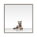 Picture of Singular Raccoon _GroupedProduct_Square_Mini_ _GroupedProduct_Square_Canvas_Framed_