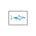Picture of Blue Splash Shark I  _GroupedProduct_Rectangle_Landscape_Mini_ _GroupedProduct_Rectangle_Landscape_Canvas_Framed_