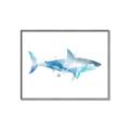 Picture of Blue Splash Shark I  _GroupedProduct_Rectangle_Landscape_Mini_ _GroupedProduct_Rectangle_Landscape_Canvas_Framed_