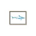 Picture of Blue Splash Shark II _GroupedProduct_Rectangle_Landscape_Mini_ _GroupedProduct_Rectangle_Landscape_Canvas_Framed_