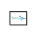 Picture of Blue Splash Shark II _GroupedProduct_Rectangle_Landscape_Mini_ _GroupedProduct_Rectangle_Landscape_Canvas_Framed_