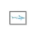 Picture of Blue Splash Shark II _GroupedProduct_Rectangle_Landscape_Mini_ _GroupedProduct_Rectangle_Landscape_Canvas_Framed_