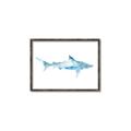 Picture of Blue Splash Shark II _GroupedProduct_Rectangle_Landscape_Mini_ _GroupedProduct_Rectangle_Landscape_Canvas_Framed_