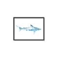 Picture of Blue Splash Shark II _GroupedProduct_Rectangle_Landscape_Mini_ _GroupedProduct_Rectangle_Landscape_Canvas_Framed_
