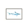 Picture of Blue Splash Shark II _GroupedProduct_Rectangle_Landscape_Mini_ _GroupedProduct_Rectangle_Landscape_Canvas_Framed_