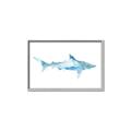Picture of Blue Splash Shark II _GroupedProduct_Rectangle_Landscape_Mini_ _GroupedProduct_Rectangle_Landscape_Canvas_Framed_