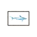 Picture of Blue Splash Shark II _GroupedProduct_Rectangle_Landscape_Mini_ _GroupedProduct_Rectangle_Landscape_Canvas_Framed_