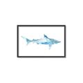 Picture of Blue Splash Shark II _GroupedProduct_Rectangle_Landscape_Mini_ _GroupedProduct_Rectangle_Landscape_Canvas_Framed_
