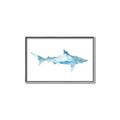 Picture of Blue Splash Shark II _GroupedProduct_Rectangle_Landscape_Mini_ _GroupedProduct_Rectangle_Landscape_Canvas_Framed_