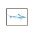 Picture of Blue Splash Shark II _GroupedProduct_Rectangle_Landscape_Mini_ _GroupedProduct_Rectangle_Landscape_Canvas_Framed_