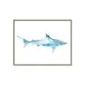 Picture of Blue Splash Shark II _GroupedProduct_Rectangle_Landscape_Mini_ _GroupedProduct_Rectangle_Landscape_Canvas_Framed_