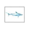 Picture of Blue Splash Shark II _GroupedProduct_Rectangle_Landscape_Mini_ _GroupedProduct_Rectangle_Landscape_Canvas_Framed_