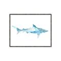Picture of Blue Splash Shark II _GroupedProduct_Rectangle_Landscape_Mini_ _GroupedProduct_Rectangle_Landscape_Canvas_Framed_