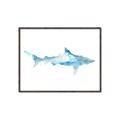 Picture of Blue Splash Shark II _GroupedProduct_Rectangle_Landscape_Mini_ _GroupedProduct_Rectangle_Landscape_Canvas_Framed_