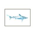 Picture of Blue Splash Shark II _GroupedProduct_Rectangle_Landscape_Mini_ _GroupedProduct_Rectangle_Landscape_Canvas_Framed_