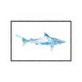 Picture of Blue Splash Shark II _GroupedProduct_Rectangle_Landscape_Mini_ _GroupedProduct_Rectangle_Landscape_Canvas_Framed_