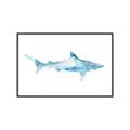 Picture of Blue Splash Shark II _GroupedProduct_Rectangle_Landscape_Mini_ _GroupedProduct_Rectangle_Landscape_Canvas_Framed_