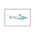 Picture of Blue Splash Shark II _GroupedProduct_Rectangle_Landscape_Mini_ _GroupedProduct_Rectangle_Landscape_Canvas_Framed_