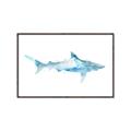 Picture of Blue Splash Shark II _GroupedProduct_Rectangle_Landscape_Mini_ _GroupedProduct_Rectangle_Landscape_Canvas_Framed_