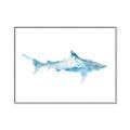 Picture of Blue Splash Shark II _GroupedProduct_Rectangle_Landscape_Mini_ _GroupedProduct_Rectangle_Landscape_Canvas_Framed_
