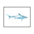 Picture of Blue Splash Shark II _GroupedProduct_Rectangle_Landscape_Mini_ _GroupedProduct_Rectangle_Landscape_Canvas_Framed_
